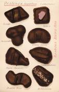 Pralines